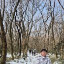 종식목장 | [제1편] 2024-2025년 송구영신 기념, 민족의 성산 한라산 백록담 정상 등정 탐방 후기