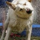 오늘머린 이미지