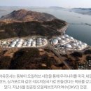 여수물류터미널 이미지
