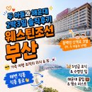부산 해운대 호텔 추천 웨스틴조선 부산 이그제큐티브 클럽라운지 호캉스 2박3일 솔직후기