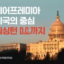 매일D/C