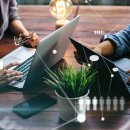 묘한 하루 이미지