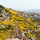 개나리어린이집 이미지