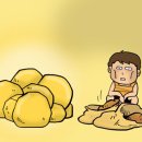 황금조명LED