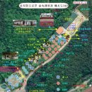 용인랜드숲속캠핑장 이미지
