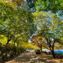 옥샘캠핑장 이미지