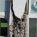 흥해초 병설유치원 이미지