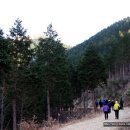 남해-209 이미지