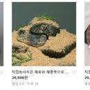 해남김밥 - 서초구 방배중앙로25길 15 | 해남김밥