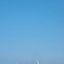 제주스테이 멀리 이미지