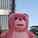 핑크벨라 이미지