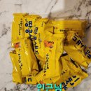 은송야채