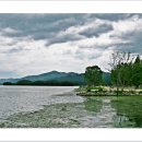 황포돗대 주변 이미지