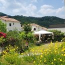 피츠로이가든 이미지