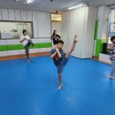 용인대성서태권도 | 이곡동태권도 용인대성서태권도아이들이 자라나요