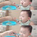 심플앤와이드 | [유이앤루이] 흡착 엔젤볼 &amp; 와이드볼 후기 | 흡착력 좋은 아기 식기 추천