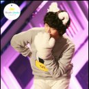 뽀삐뽀삐 이미지