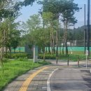 비봉체육공원 야구장 이미지