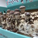 주식회사 가치채움 이미지