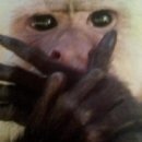 명륜진사갈비 마포성산점 이미지