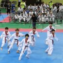 신기K타이거즈 태권도 이미지