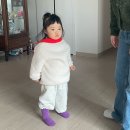 세븐일레븐마산해운스타점 | 애매한 날씨가 반복되는 계절의 경계에서