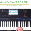 Gabriel's Oboe 넬라판타지아 엔니오 모리꼬네(C-T64) SX900 이미지