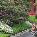 서울영본초등학교 이미지