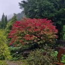 솔내음과 물소리 이미지