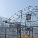 청등농장 이미지