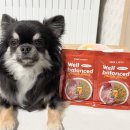 웰 라이프 건강요리(야간) | 강아지 눈물 사료 본아페티 웰 밸런스드 강아지 참치 화식 급여 후기