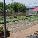 금촌리 경로당 네이버블로그