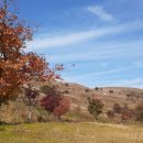 삼가시장화장실 이미지