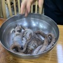 고기랑낙지랑