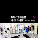 빽보이피자 장위점 이미지