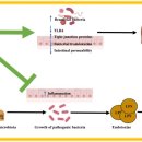 ㈜오일다운 이미지