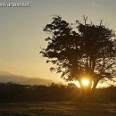 석양목장 이미지