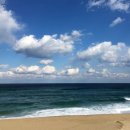 동해바다 이미지