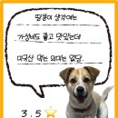 참숯한우천국팔당점 | [남양주/팔당] 애견동반 가능한 소고기집 “참숯한우천국”