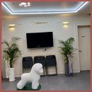 그린펫그루밍 이미지