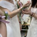 더그린디렉팅