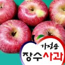 사과