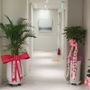 봄날재활의학과의원 이미지