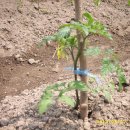 방하농장 이미지