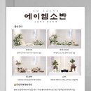 에이엠스튜디오