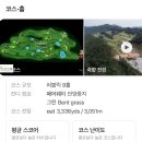 담양 죽향컨트리클럽 | 광주 근교 전남 담양 죽향CC 9홀 두 바퀴 노캐디 라운딩 후기