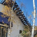 힐사이드 | 천안 뷰 좋고 분위기 좋은 브런치 베이커리 카페 힐사이드카페 방문 리얼 후기