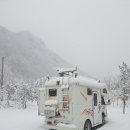 꼬꼬네농장 이미지