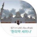 태선산업(주) | 생기한의원 강남역점 in 2017 UAE 한의약 비즈니스 포럼 (1)