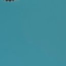 더노블천안한방병원 이미지